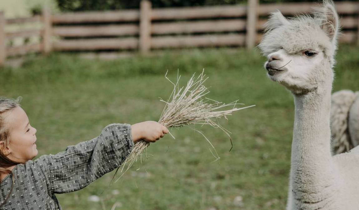 moar gut farm photo 1