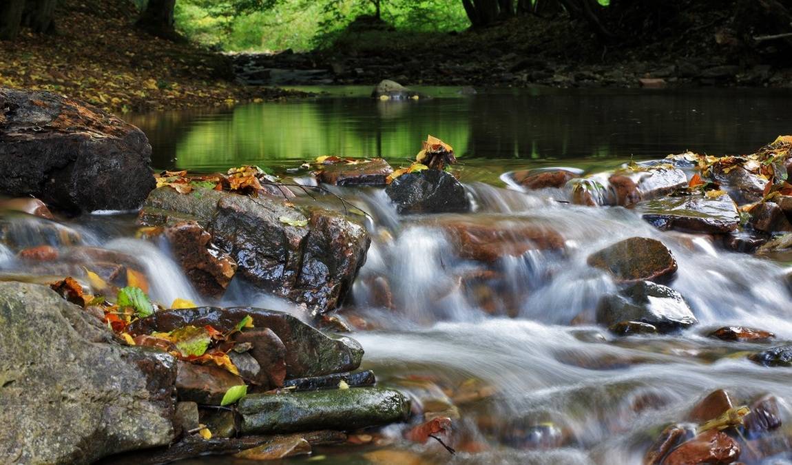 munden nature park photo 1