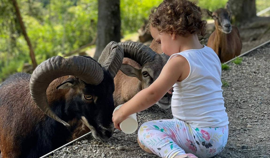 wildpark ortenburg photo 6