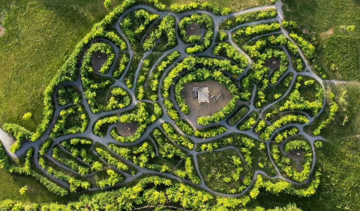 panarbora park photo 2