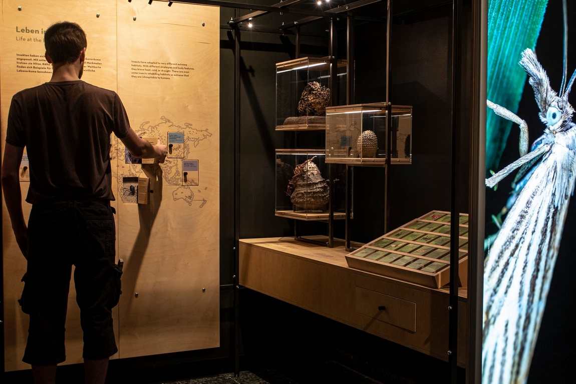 zoological museum hamburg photo 1