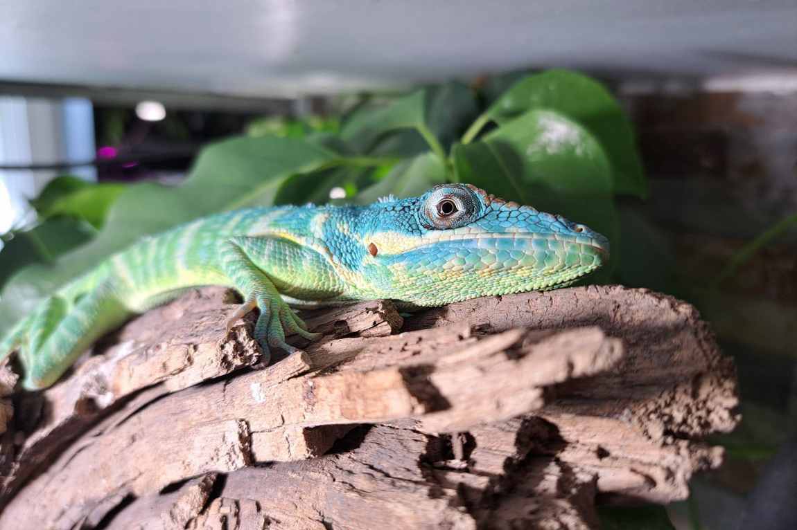 private zoo sedlec photo 3