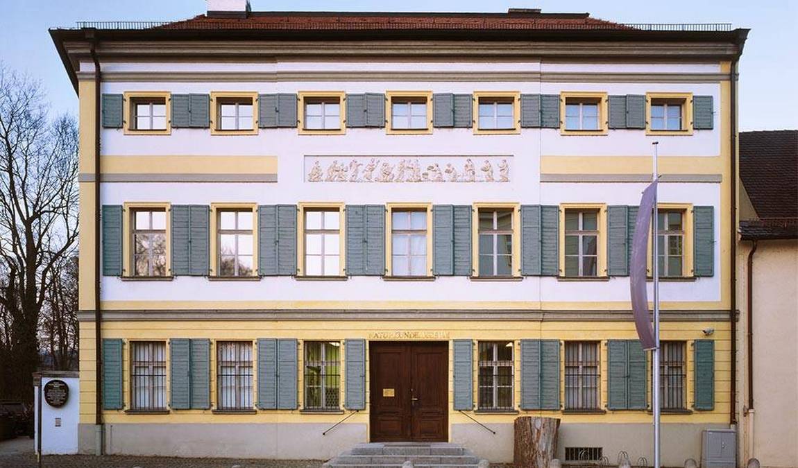 natural history museum of eastern bavaria photo 7