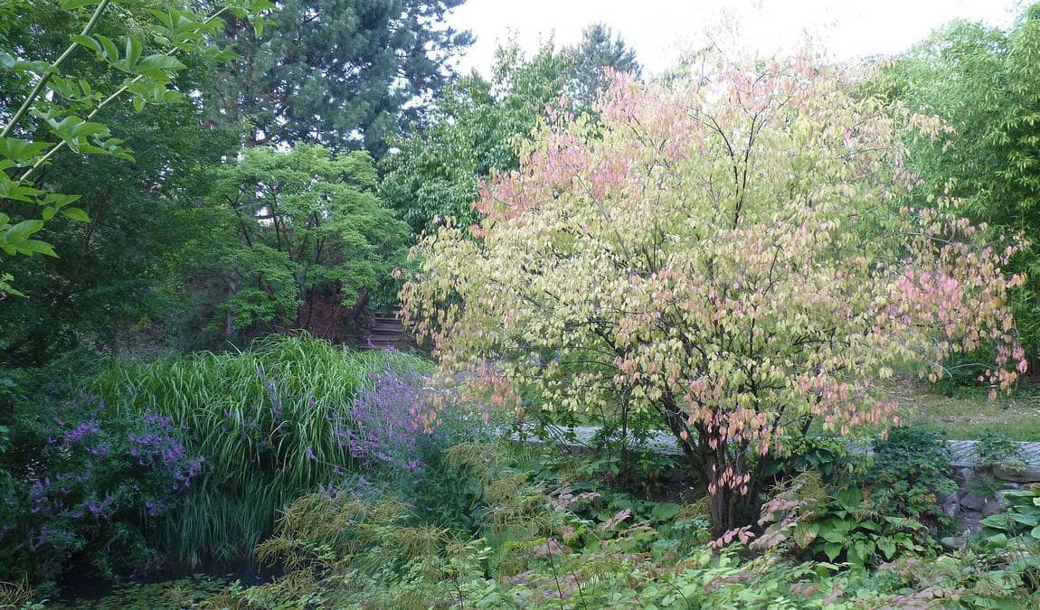 botanical garden osnabrück photo 6