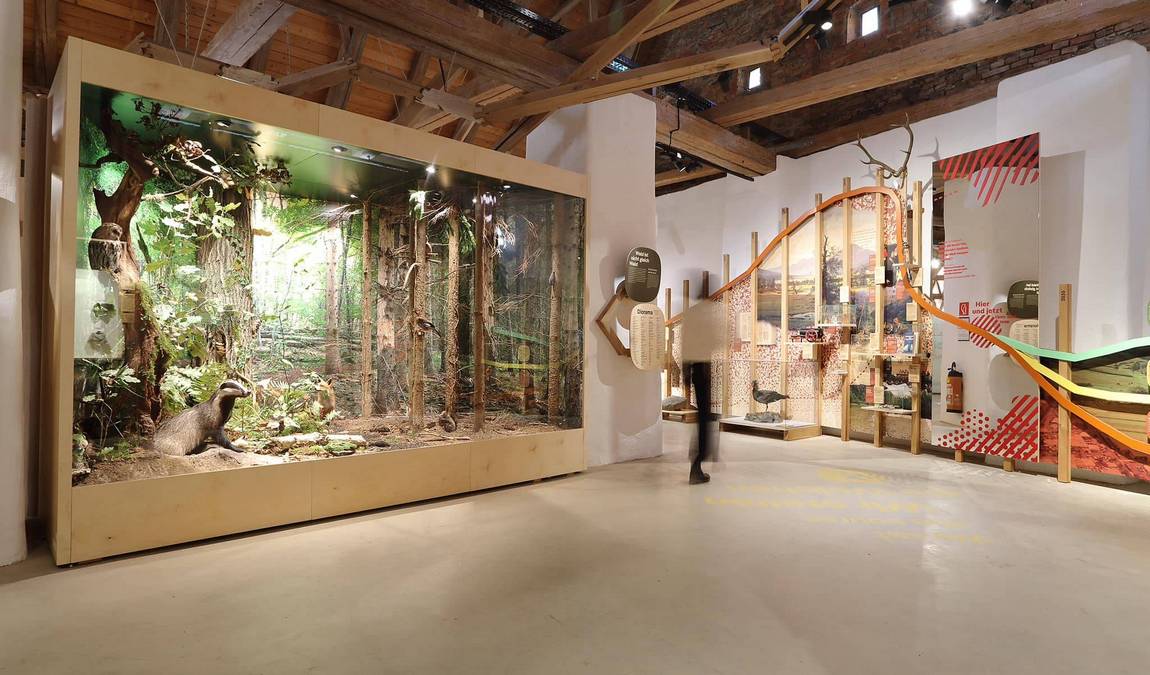 zoo herberstein photo 3