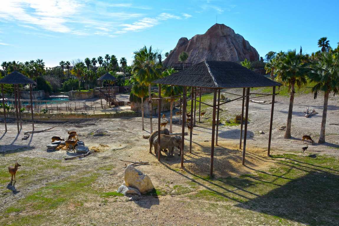 terra natura benidorm photo 2