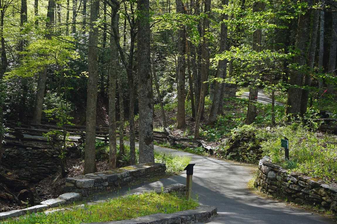 cradle of forestry photo 2