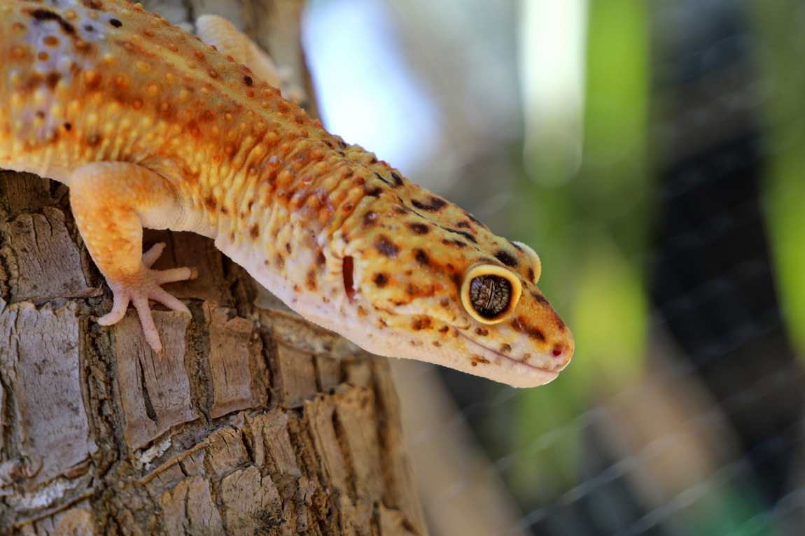 mundo park zoo photo 3