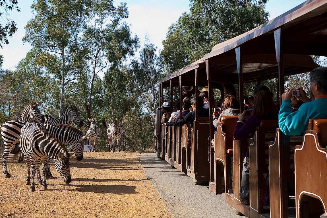 safari park la reserva photo 1