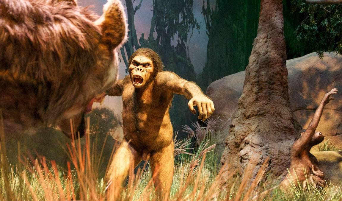 gondwana - the prehistorium photo 2