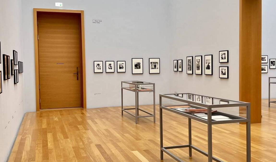 museum of fine arts photo 4