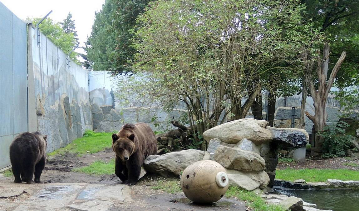 bischofswerda zoo photo 2