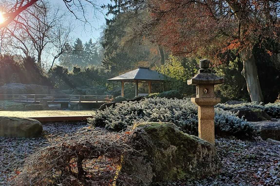 augsburg botanical garden photo 1