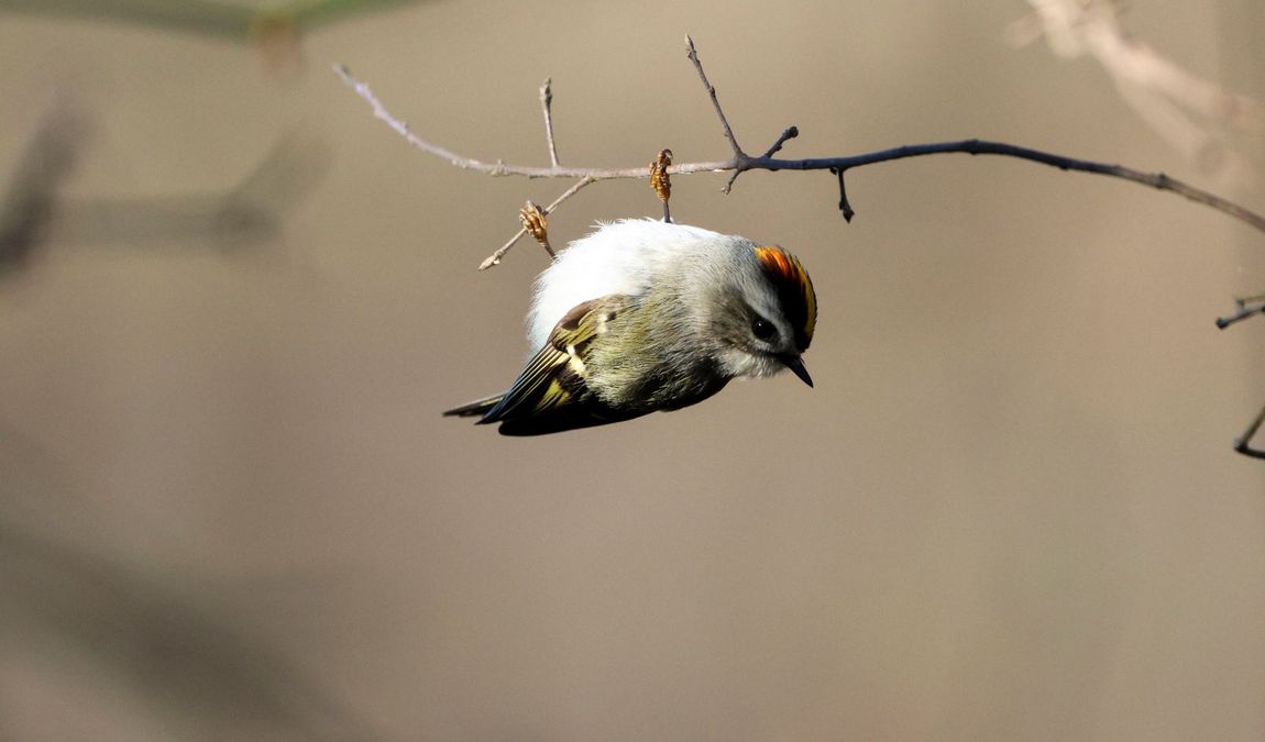 the walter l. stasavich science & nature center photo 3