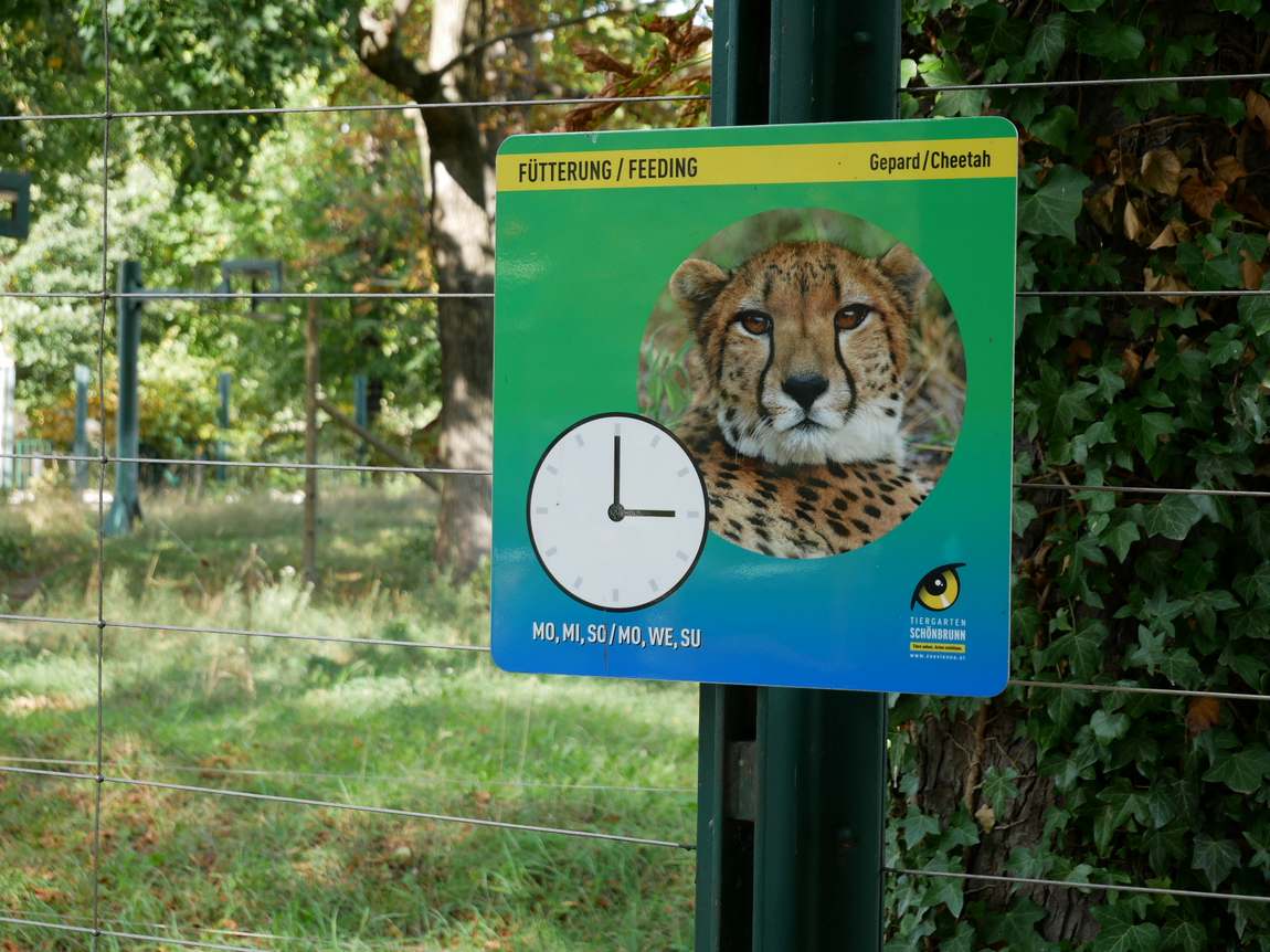 schönbrunn zoo photo 8