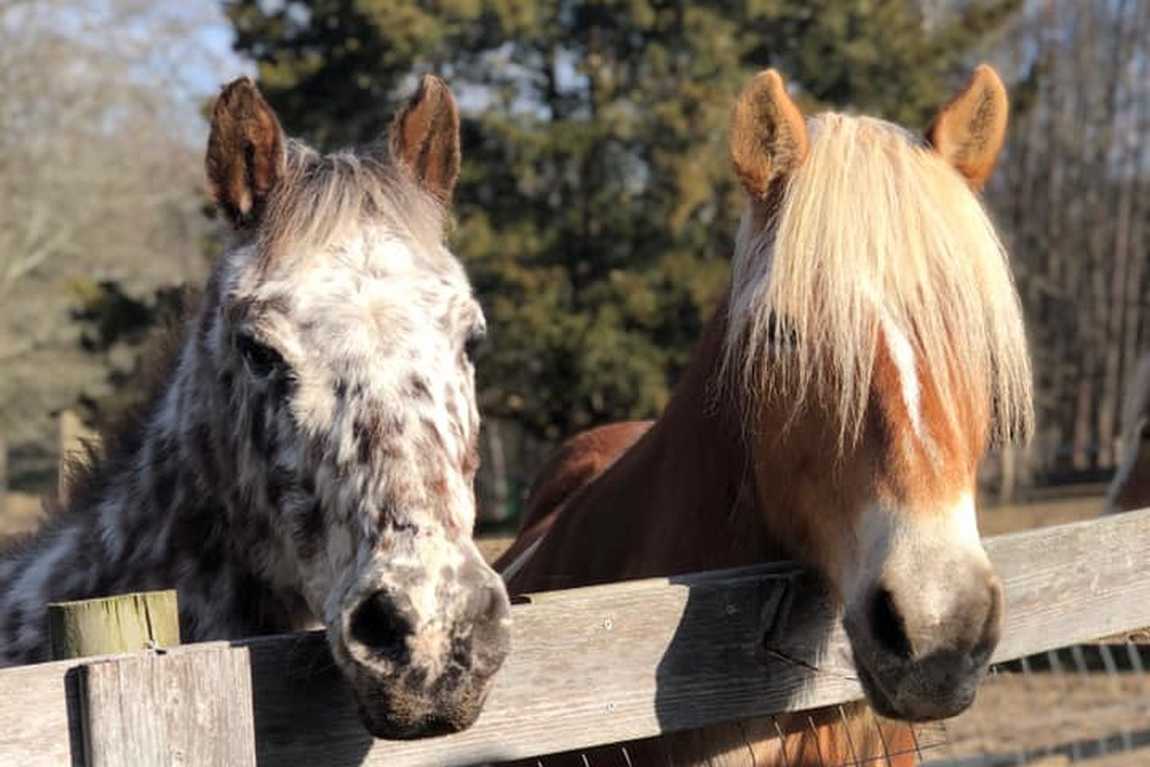 darby acres farm photo 4