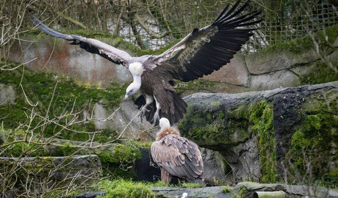 zoo schmiding photo 3