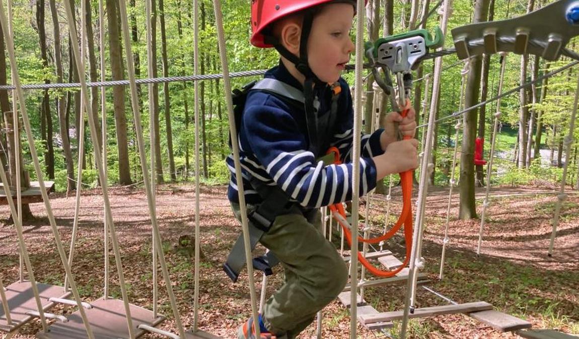 rope park purkersdorf photo 2