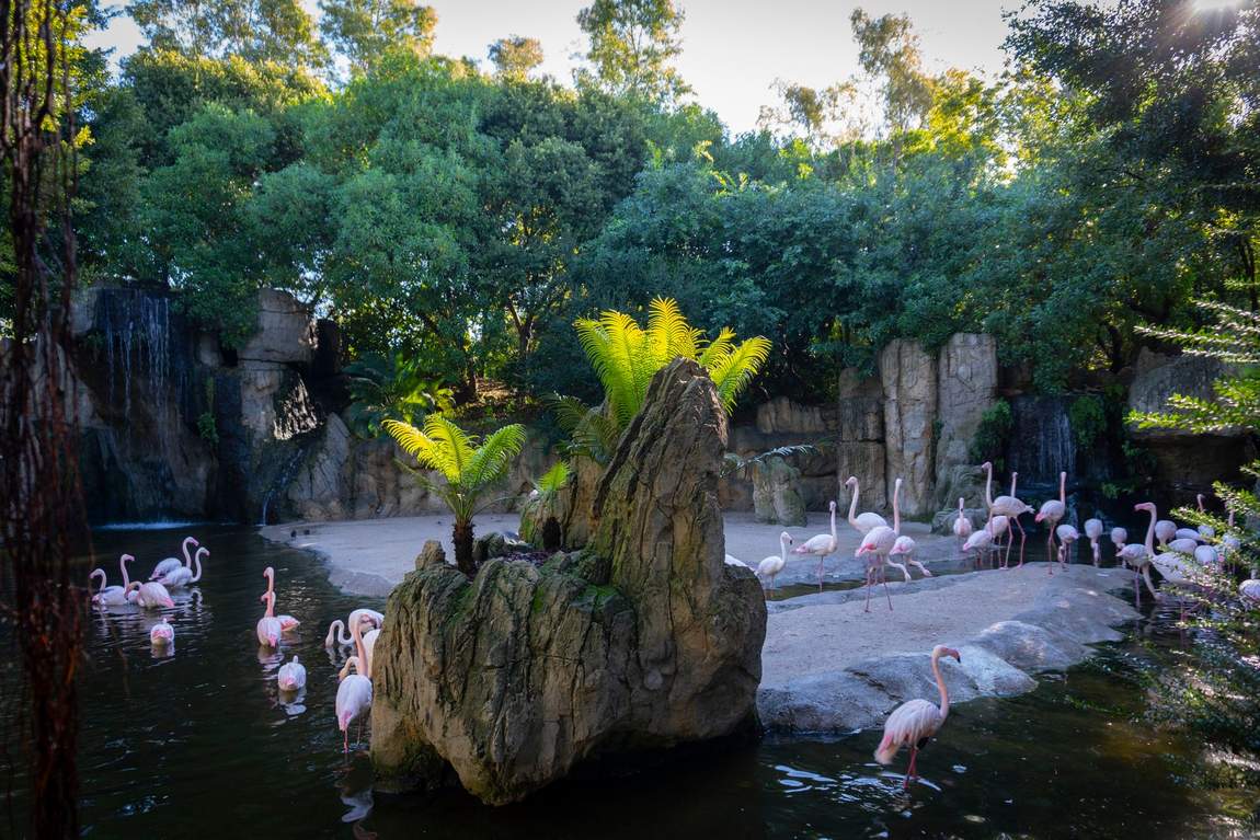 bioparc valencia photo 3