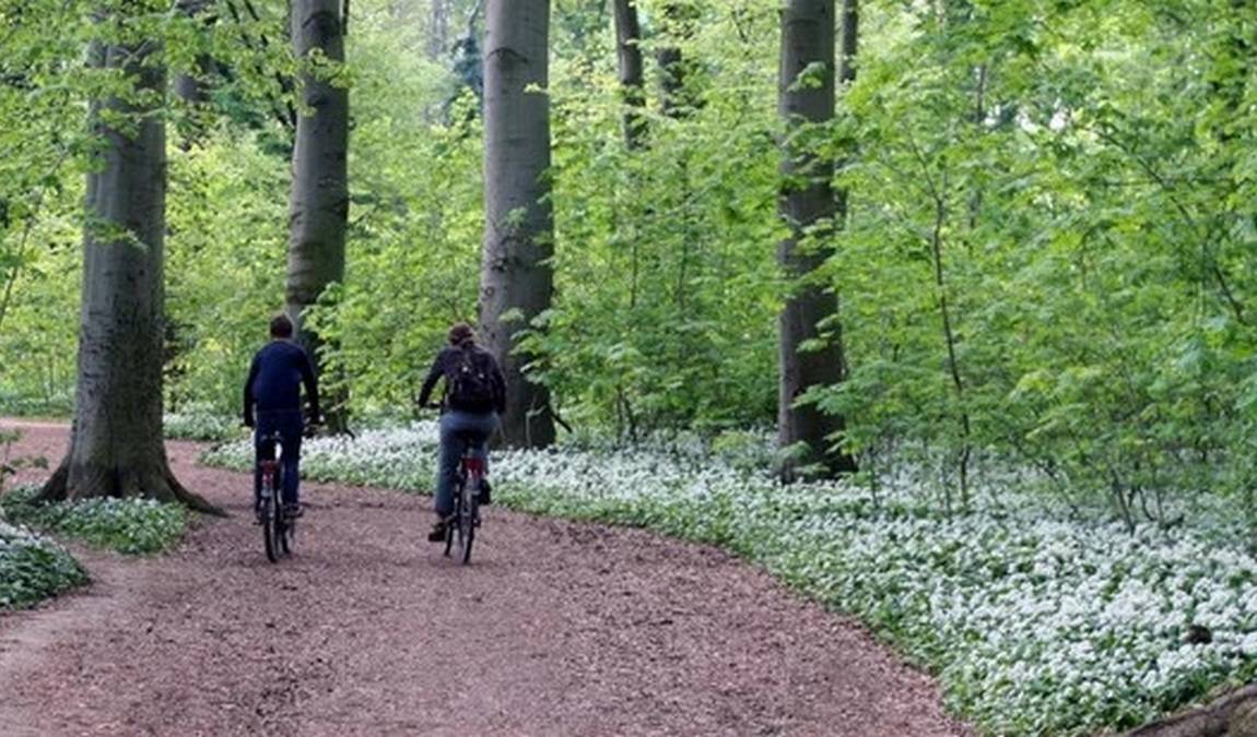 leipzig riverside forest photo 5