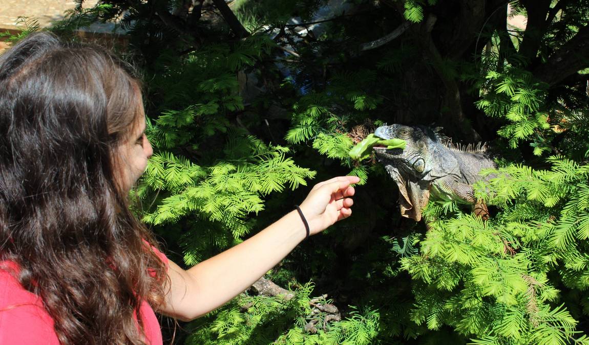 reptilienzoo happ photo 2