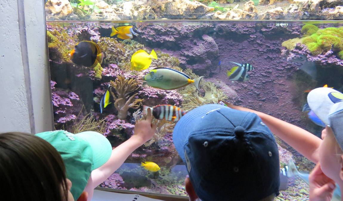 wilhelma zoo and botanical garden photo 3