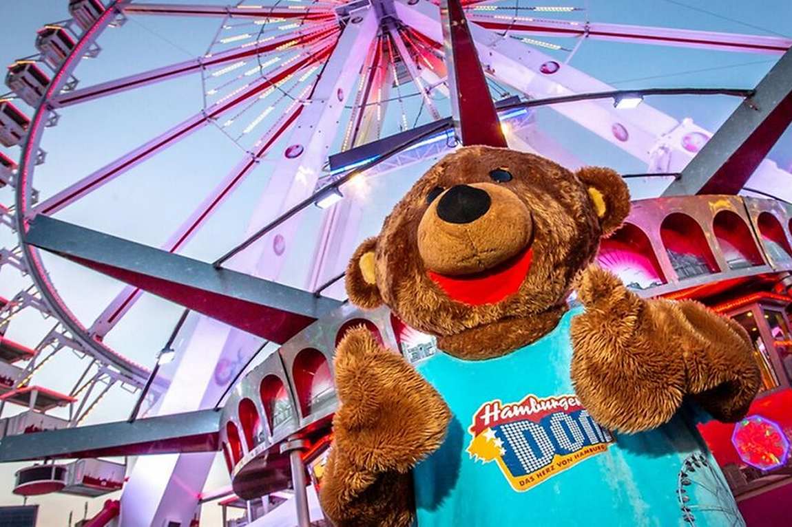 hamburger dom photo 1