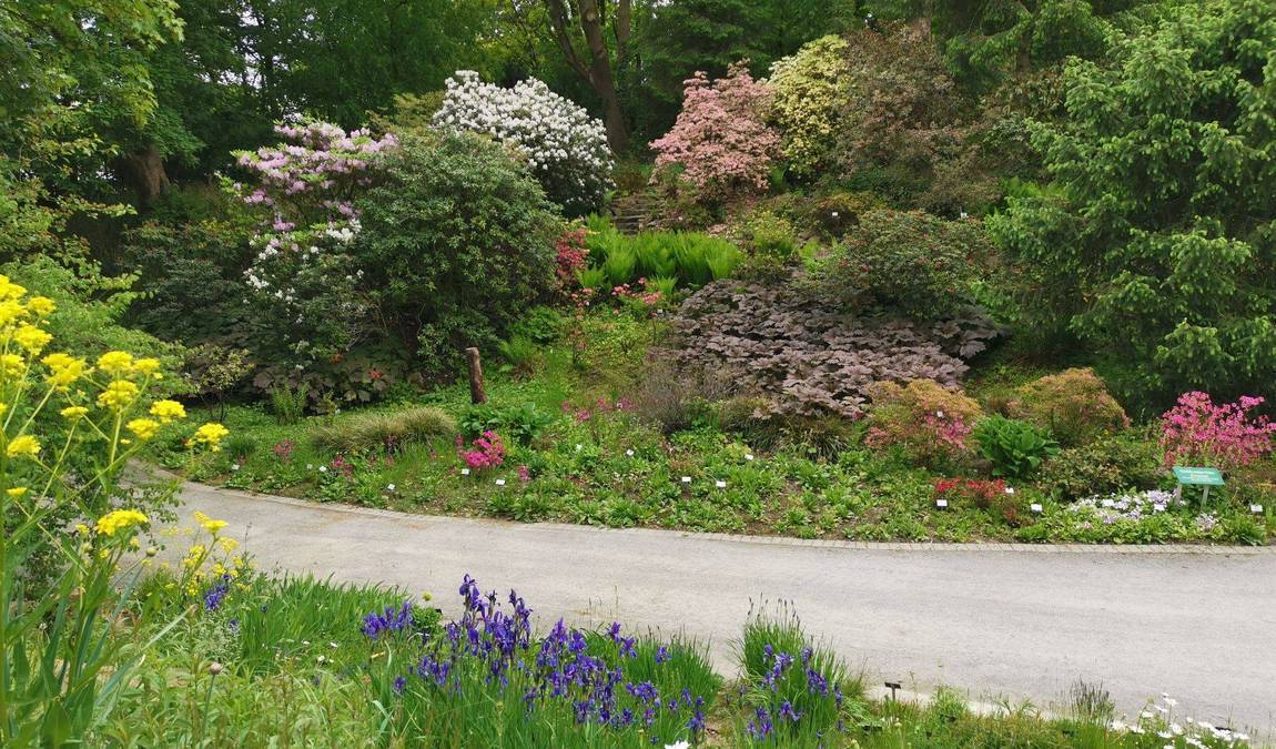 botanical garden osnabrück photo 4