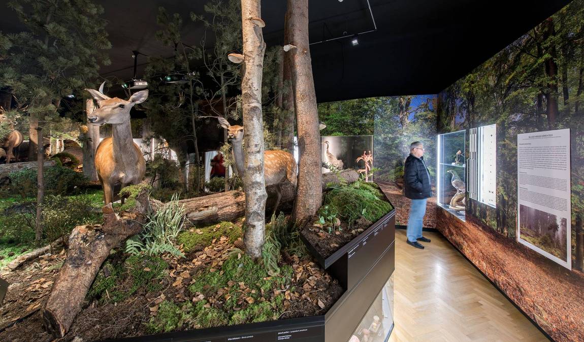 south bohemian museum photo 7