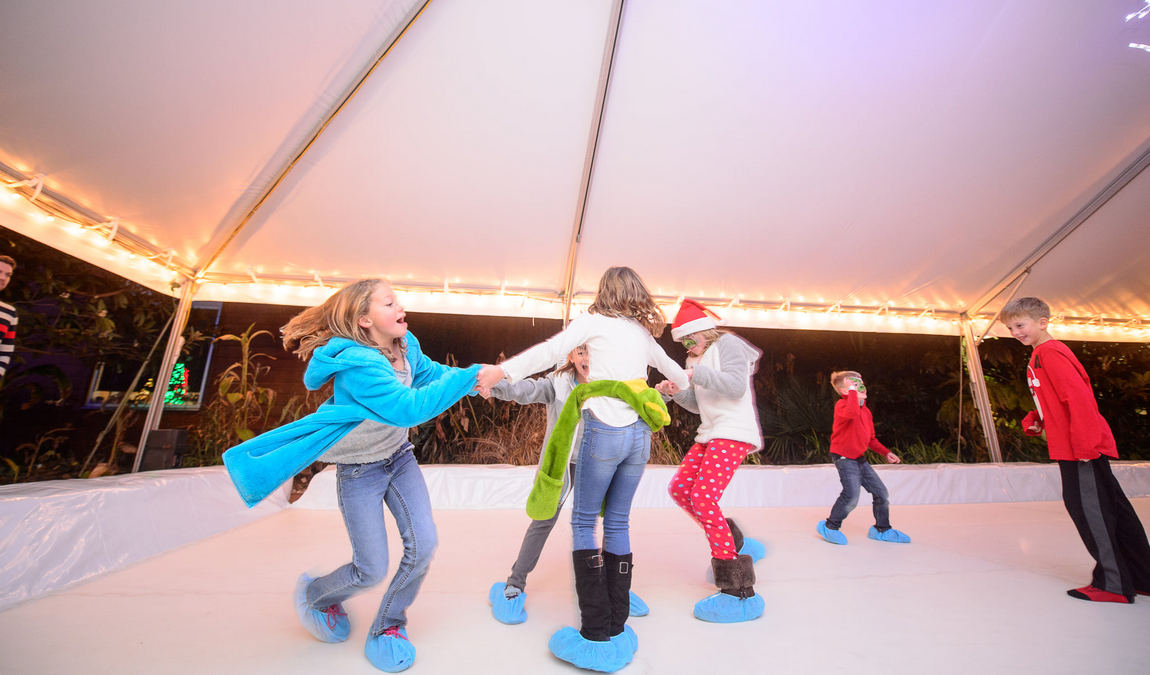 museum of life and science photo 6