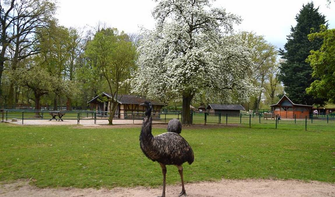 eilenburg zoo photo 3