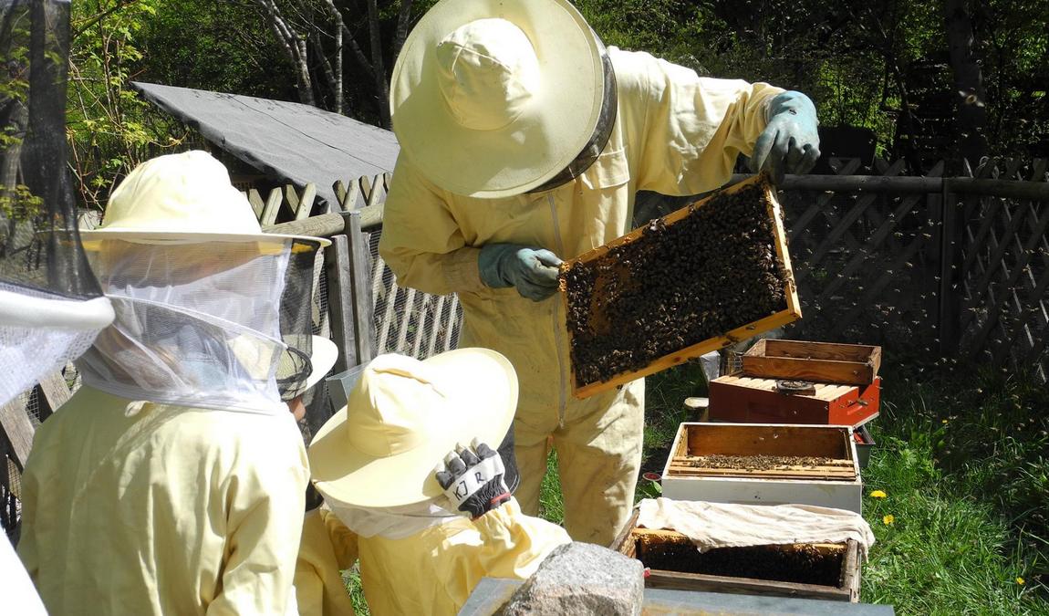 child and youth farm ramersdorf photo 4