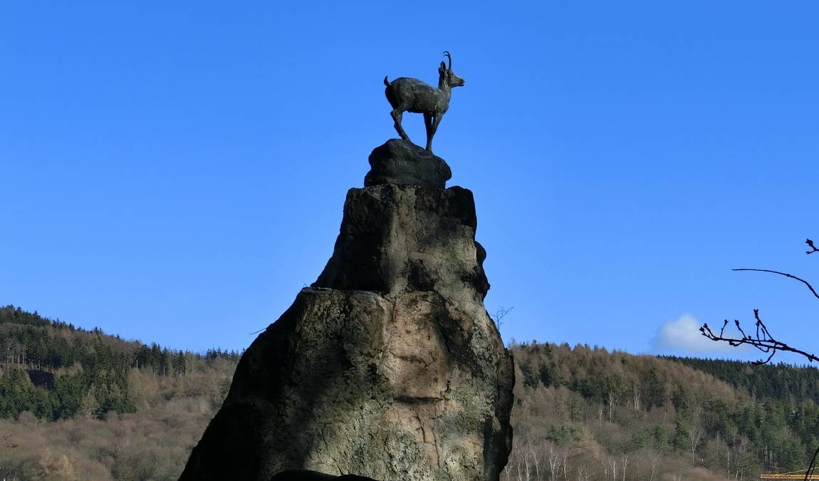 deer jump lookout photo 1