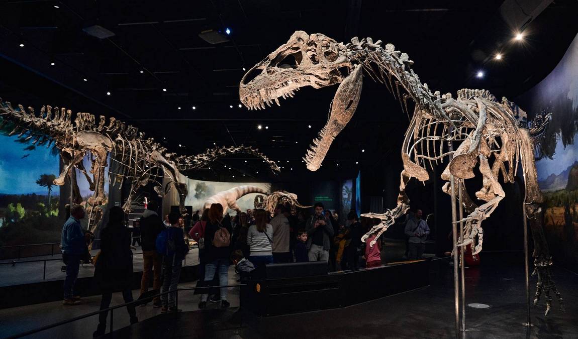 dinosauria museum photo 4
