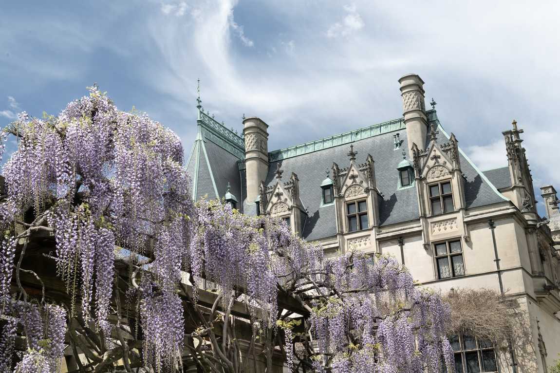 biltmore estate photo 4