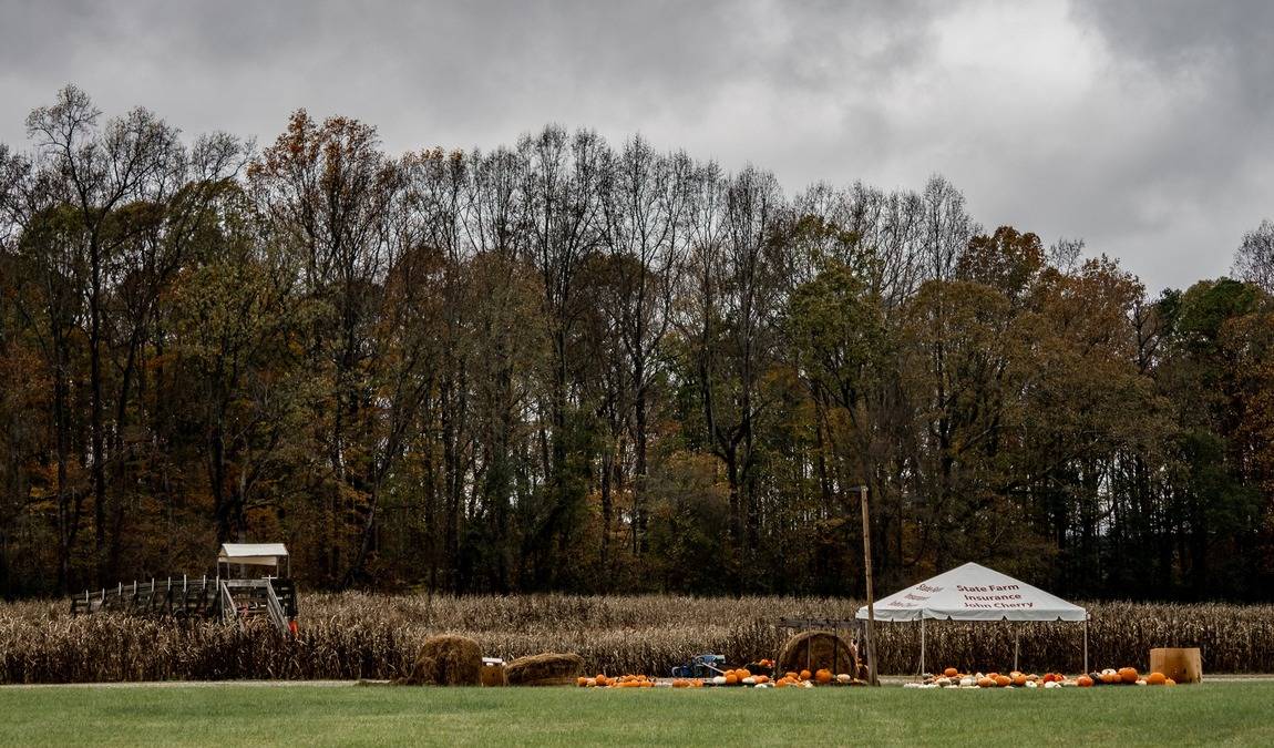 rural hill nature preserve photo 7