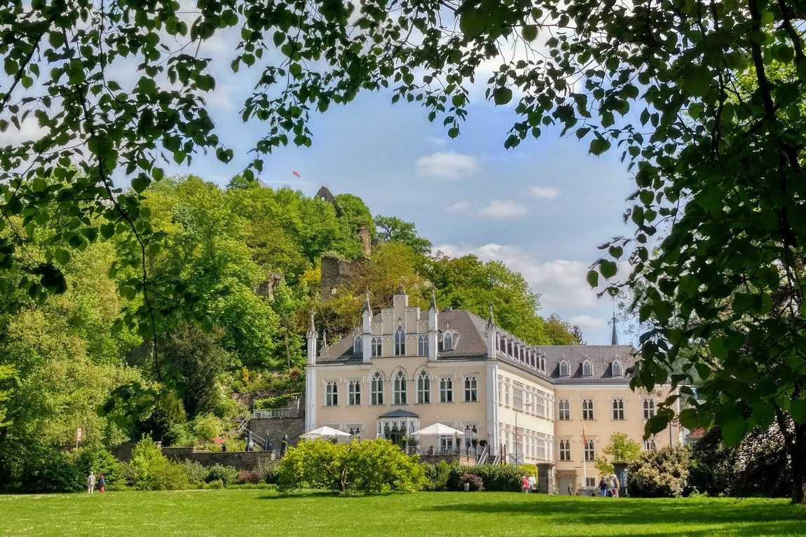 butterfly garden at sayn palace photo 3