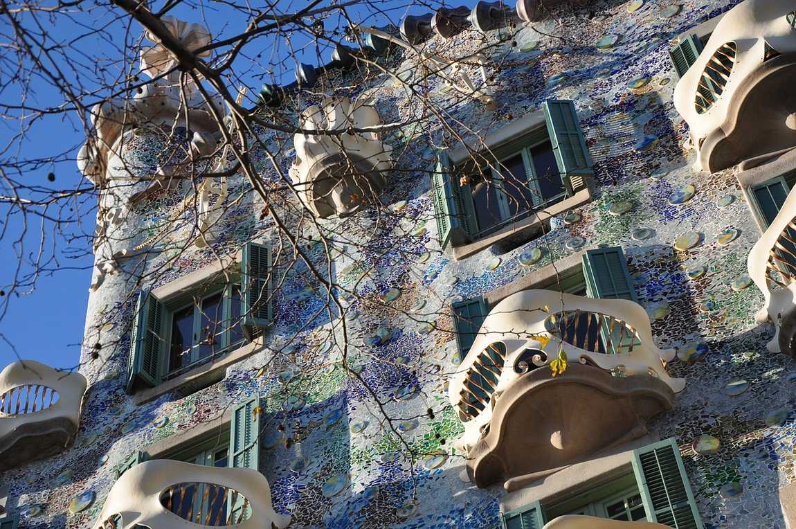 casa batllo photo 1