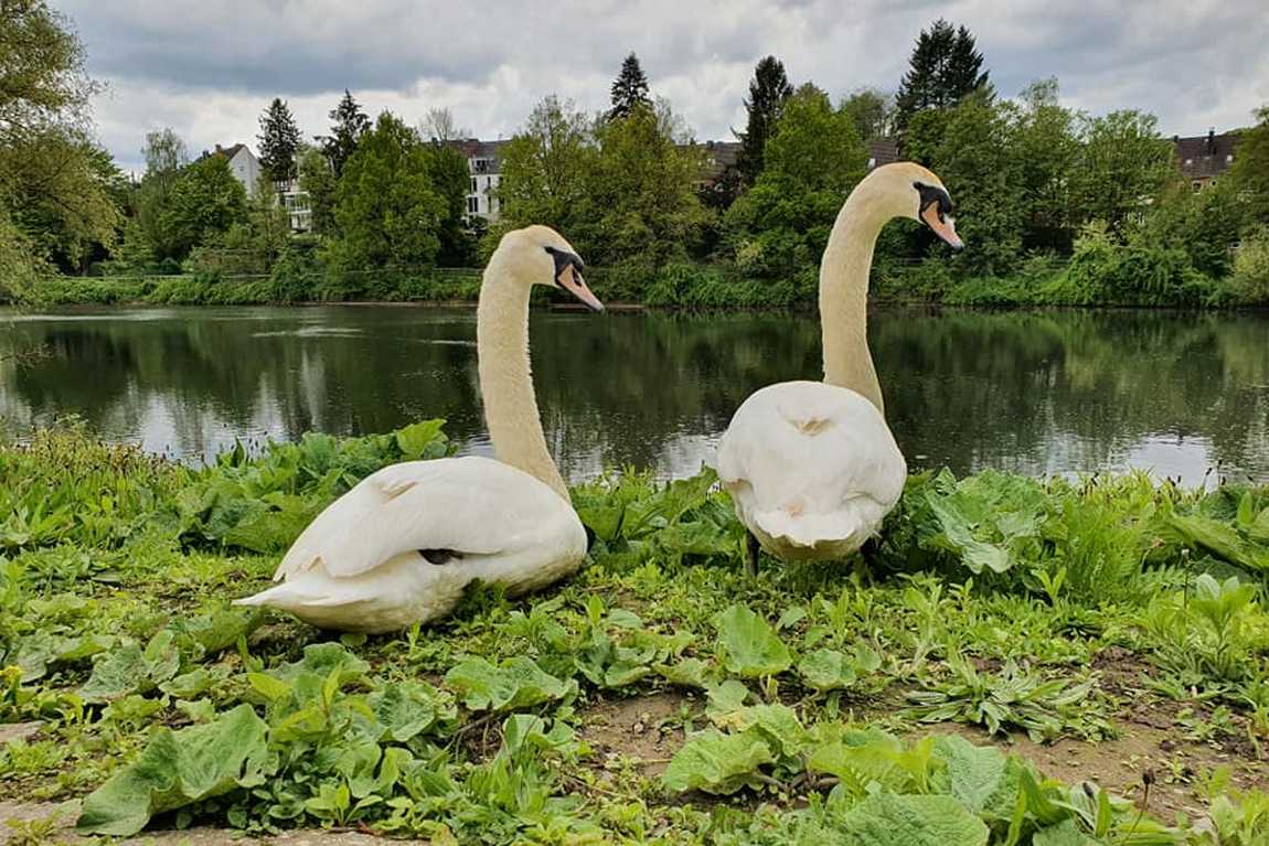 aachener tierpark euregiozoo photo 3