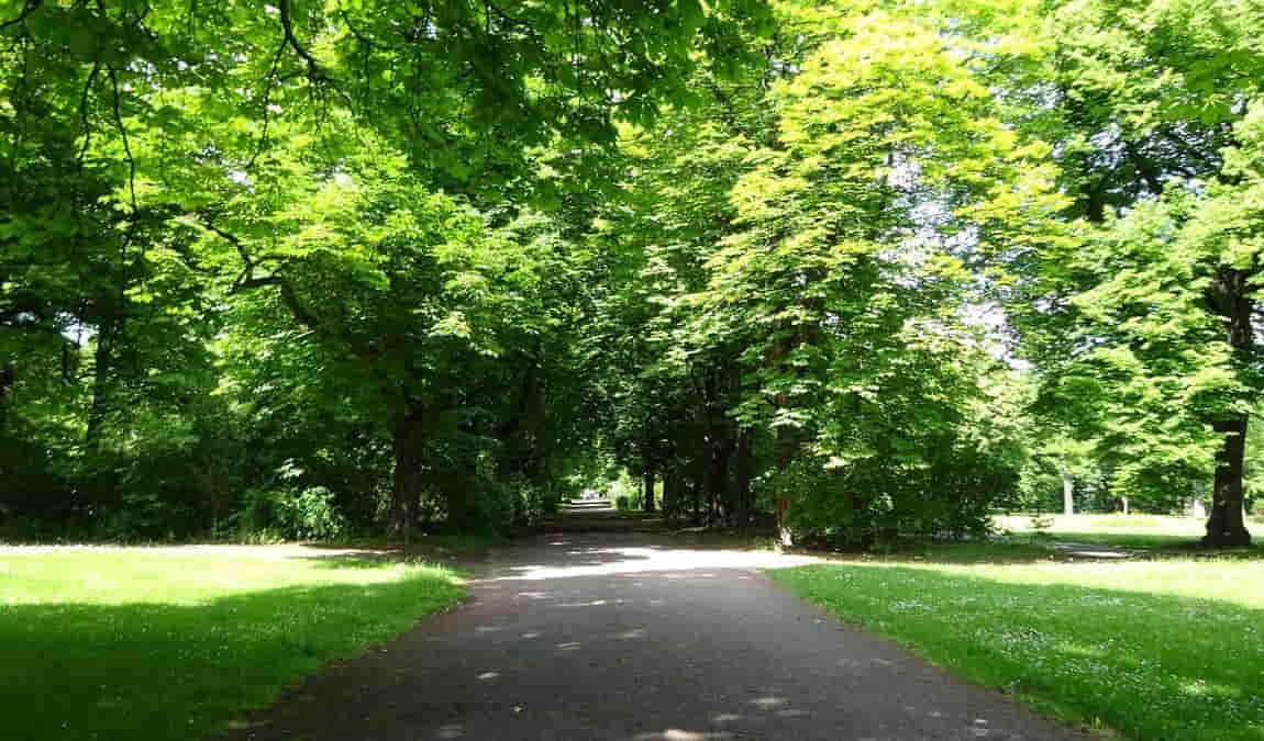 friedenspark photo 3