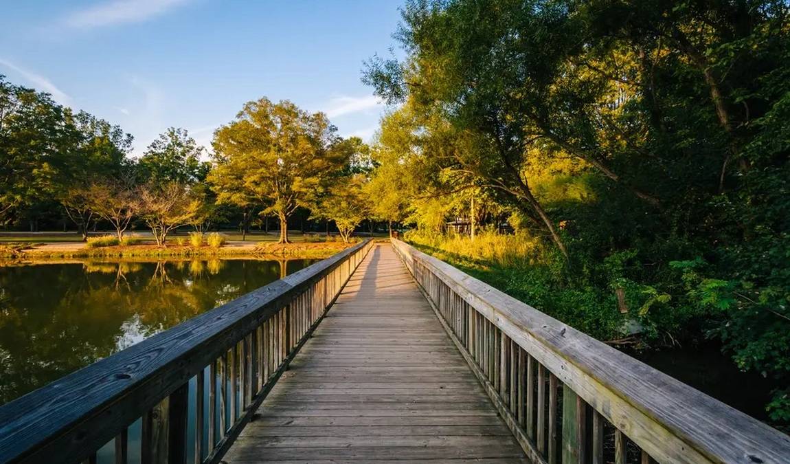 roosevelt wilson park photo 1