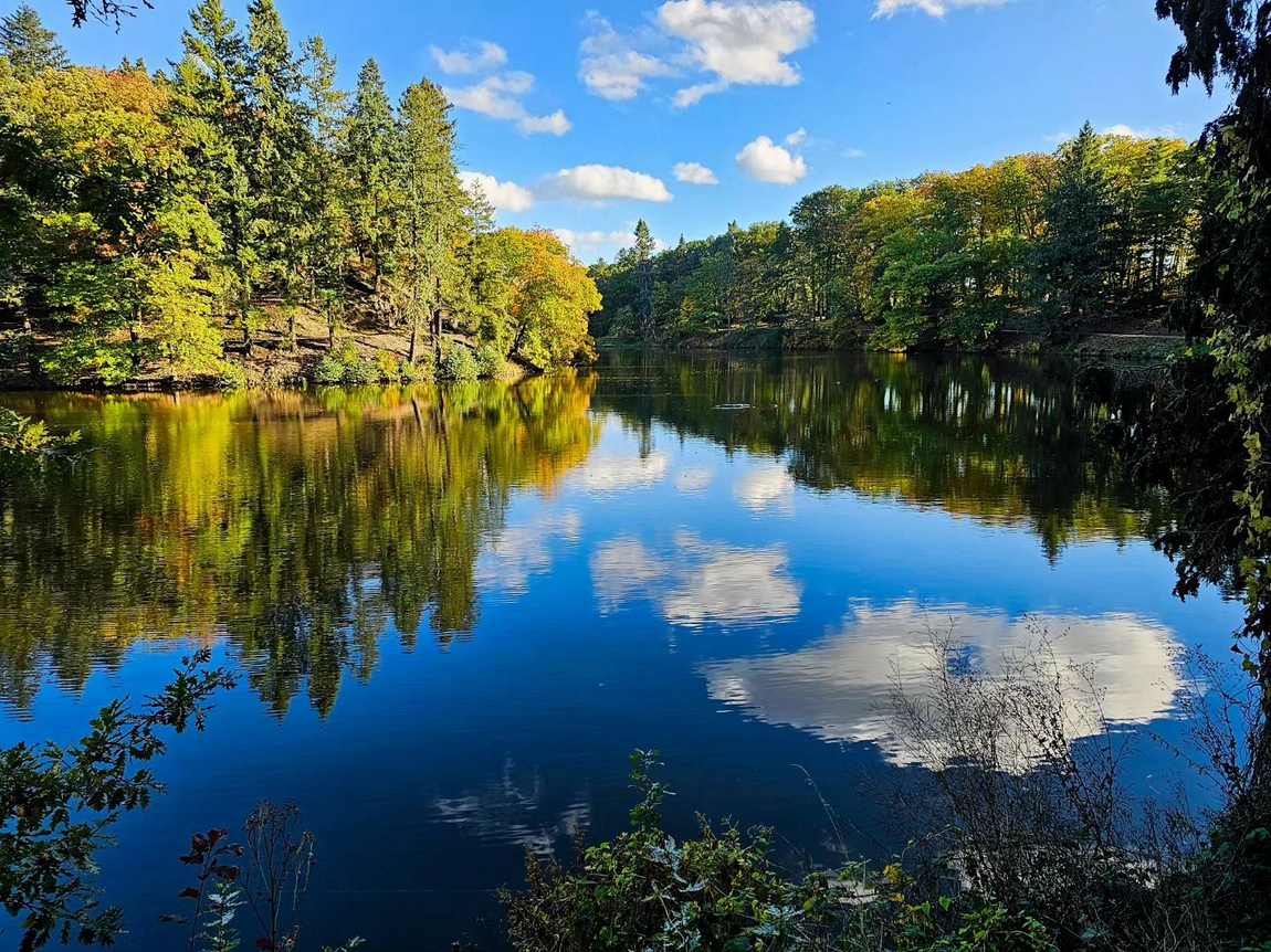 pruhonice park photo 6