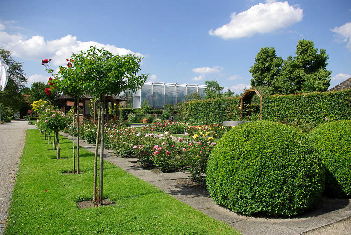 augsburg botanical garden photo 3