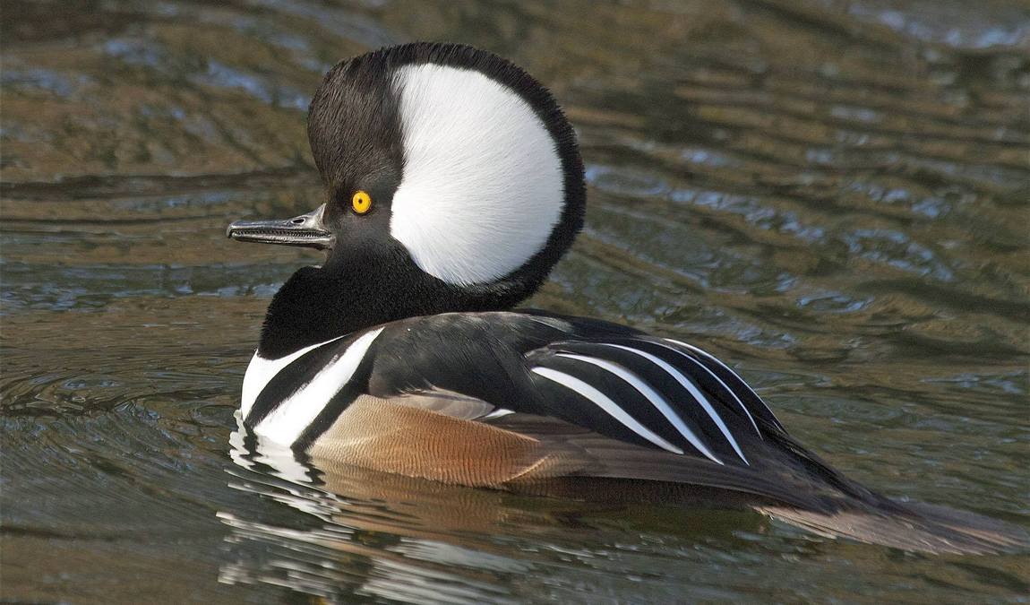 zoopark milicov photo 2