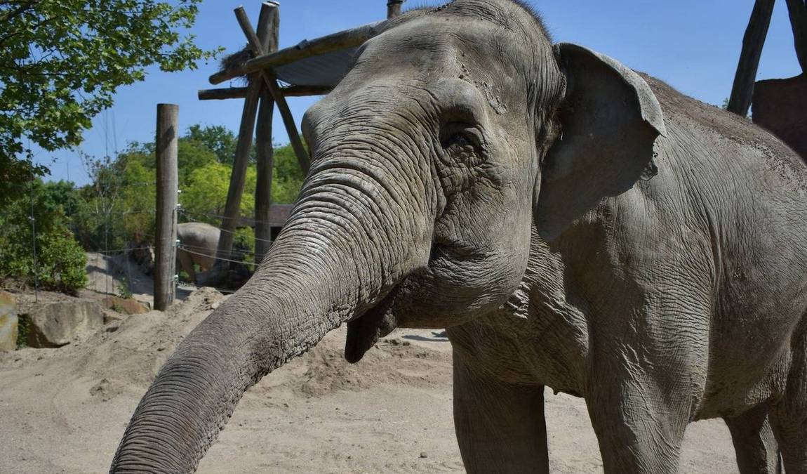 allwetterzoo munster photo 2