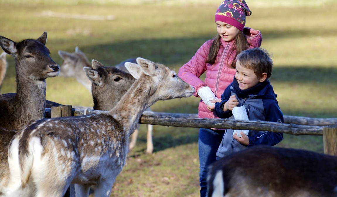 wildlife park tripsdrill photo 2