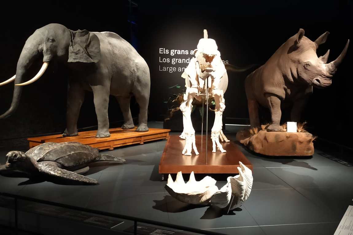 museum of natural sciences of barcelona blau photo 1