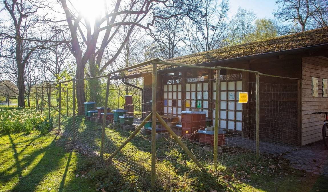 rheinaue leisure park photo 8