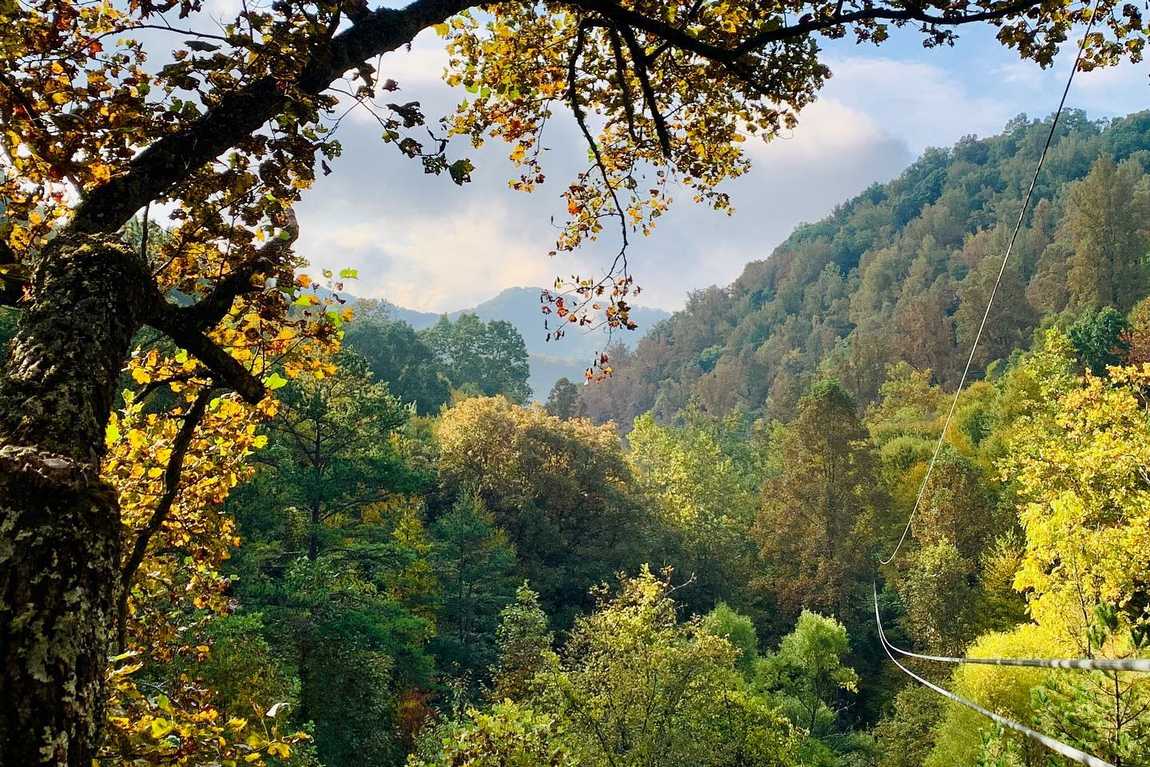 navitat canopy adventures photo 3