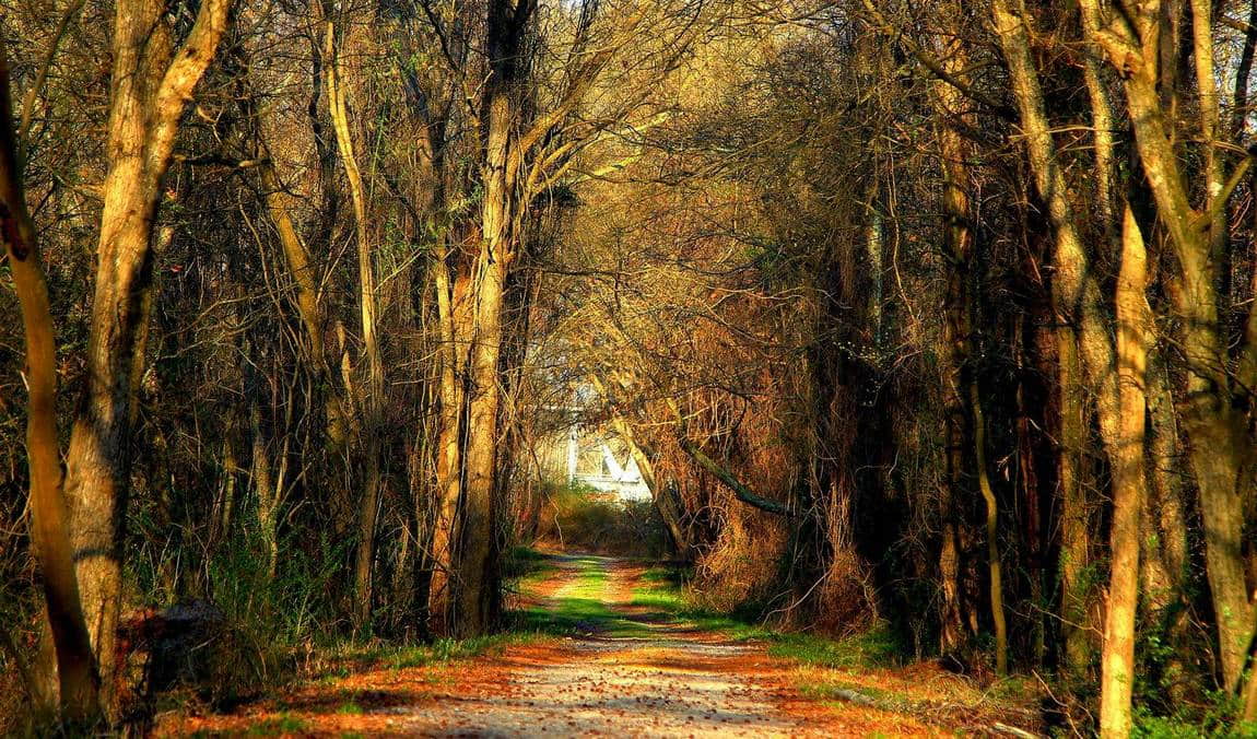 river park north photo 4